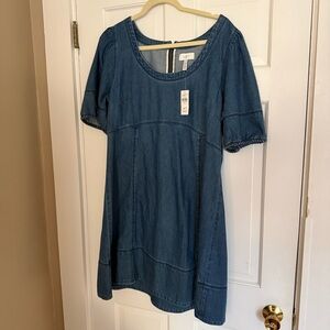LOFT Denim Puff Sleeve Swing Dress